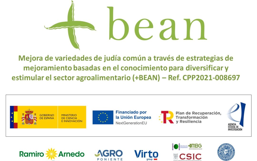 +BEAN · IMPROVING COMMON BEAN VARIETIES THROUGH KNOWLEGDE-DRIVEN BREEDING STRATEGIES TO DIVERSIFY AND ENCOURAGE THE AGRI-FOOD SECTOR