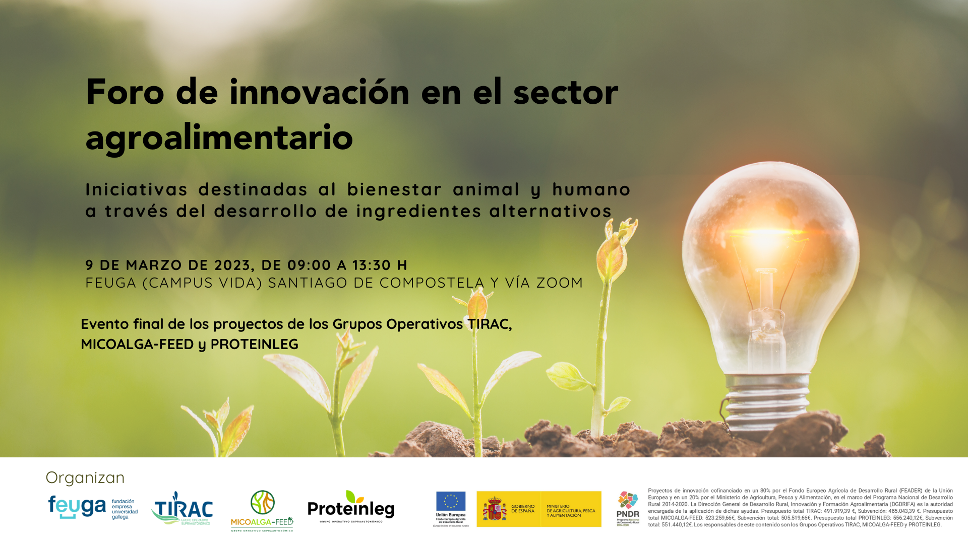 Foro de innovación en el sector agroalimentario: iniciativas destinadas al bienestar animal y humano a través del desarrollo de ingredientes alternativos